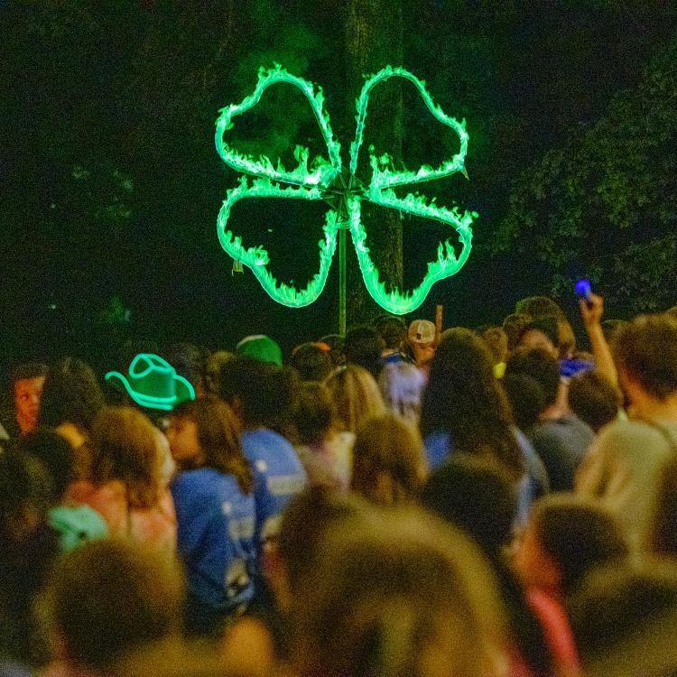  4-H Clover